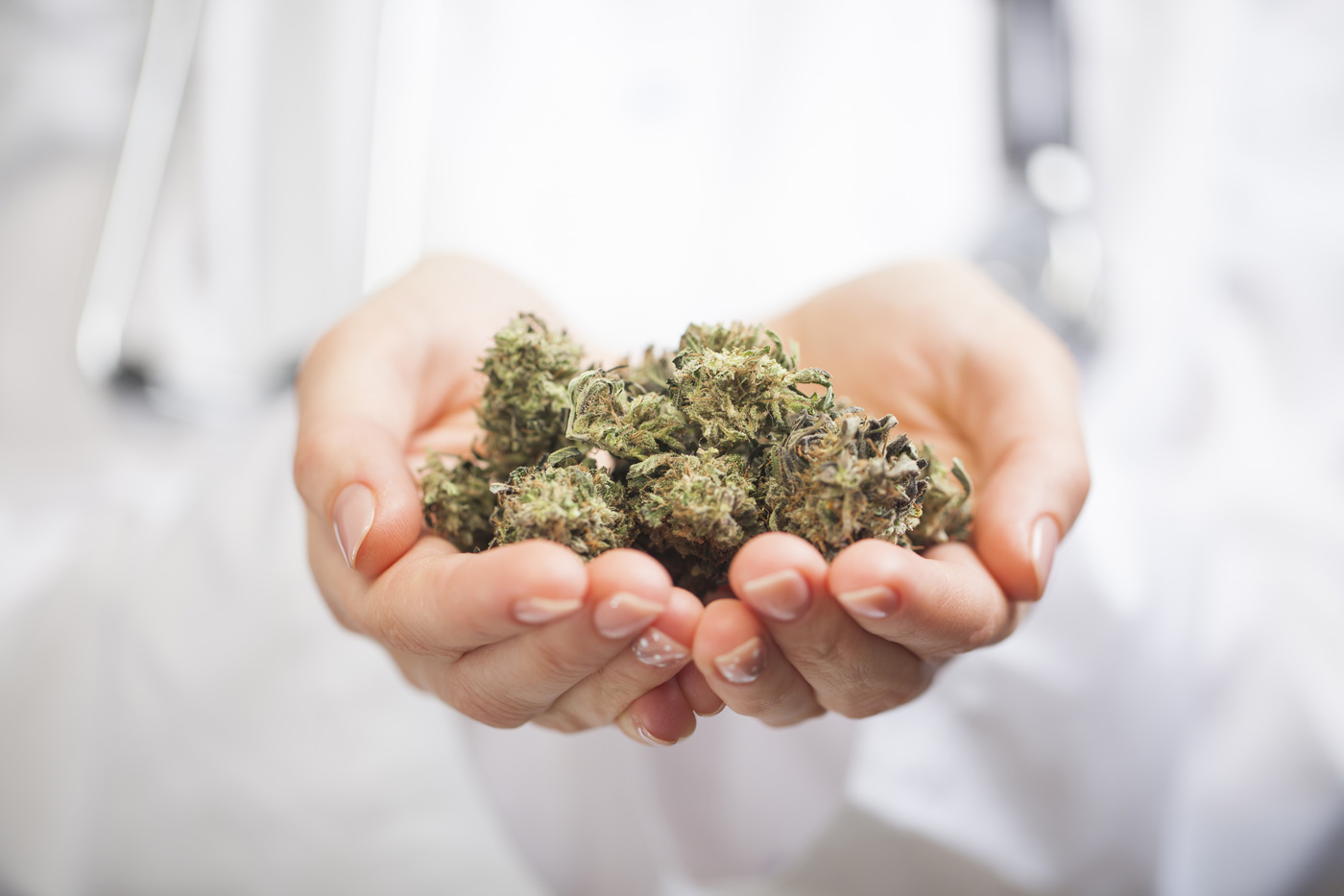 Doctor holding medical marijuana