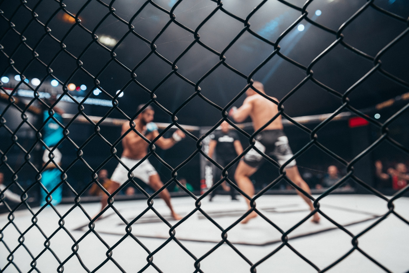 Mixed martial arts match