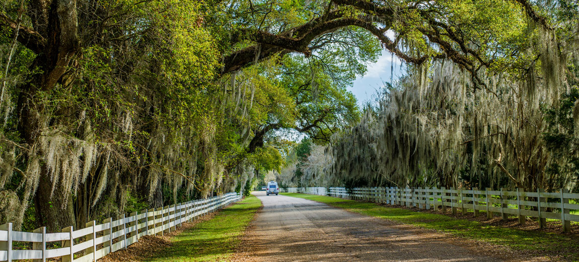 Driving with a Louisiana car title