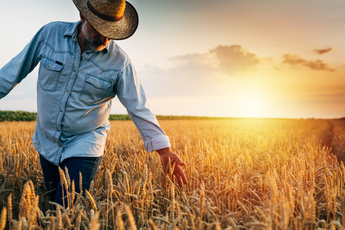 Licensed and bonded farm labor contractor in Nebraska